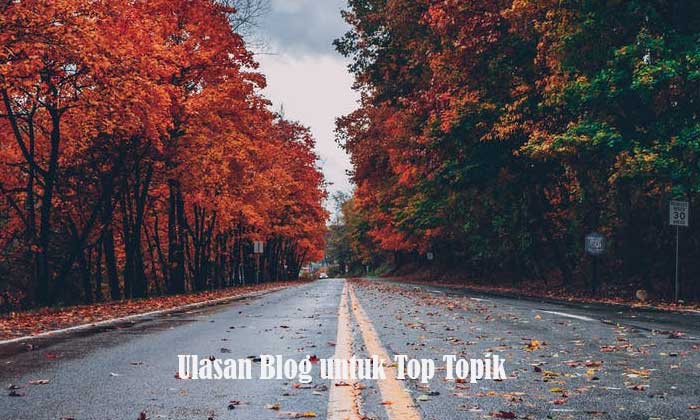 Ulasan Blog untuk Top Topik